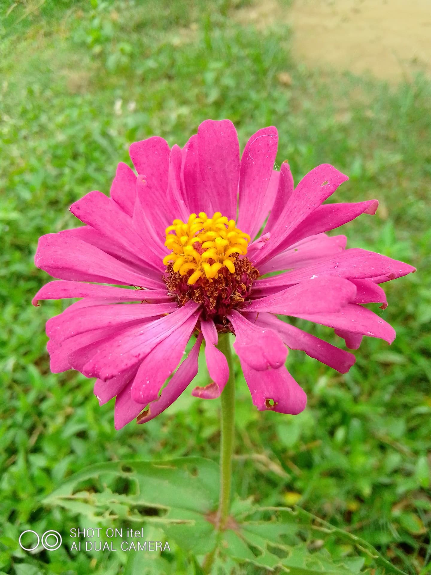 ??