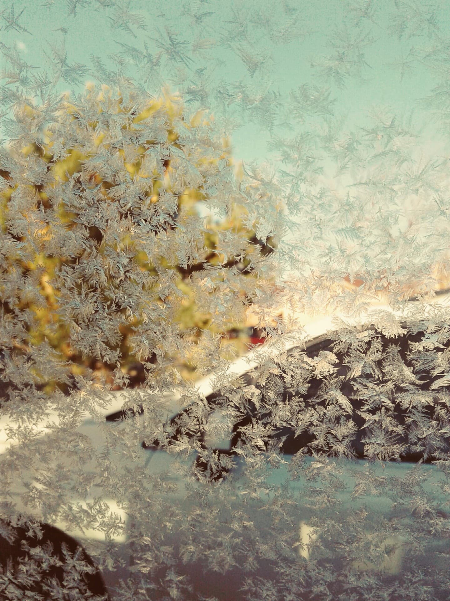 ice flakes
