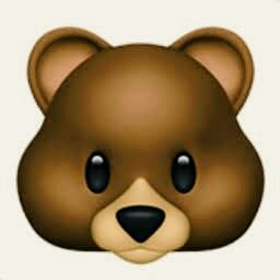 teddy bear