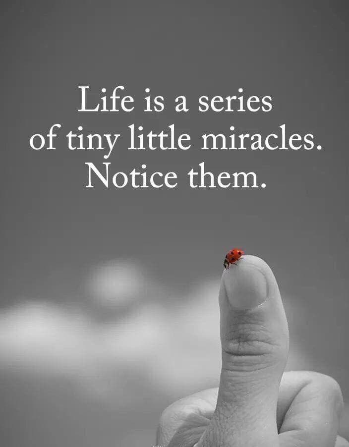 quotes good thoughts