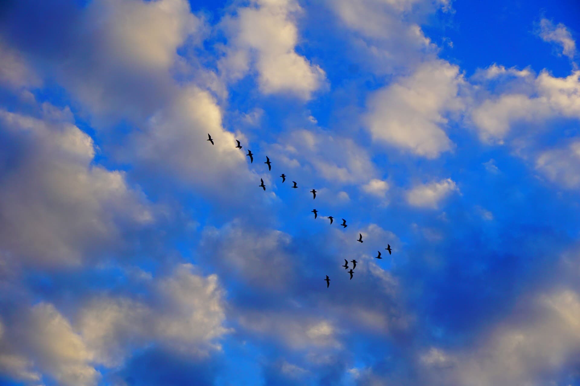 blue blue sky)
