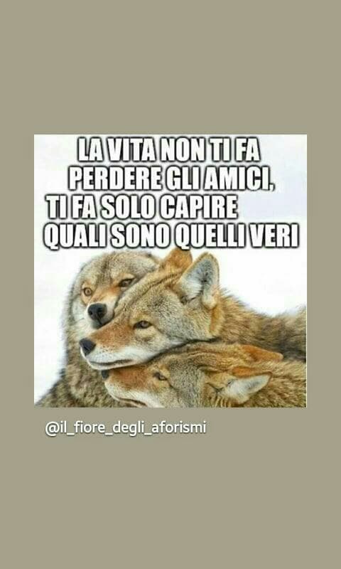 vero
