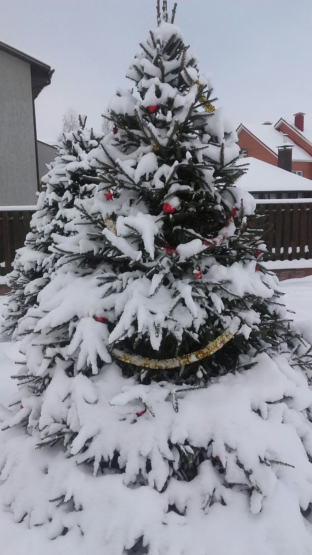 New Year Tree