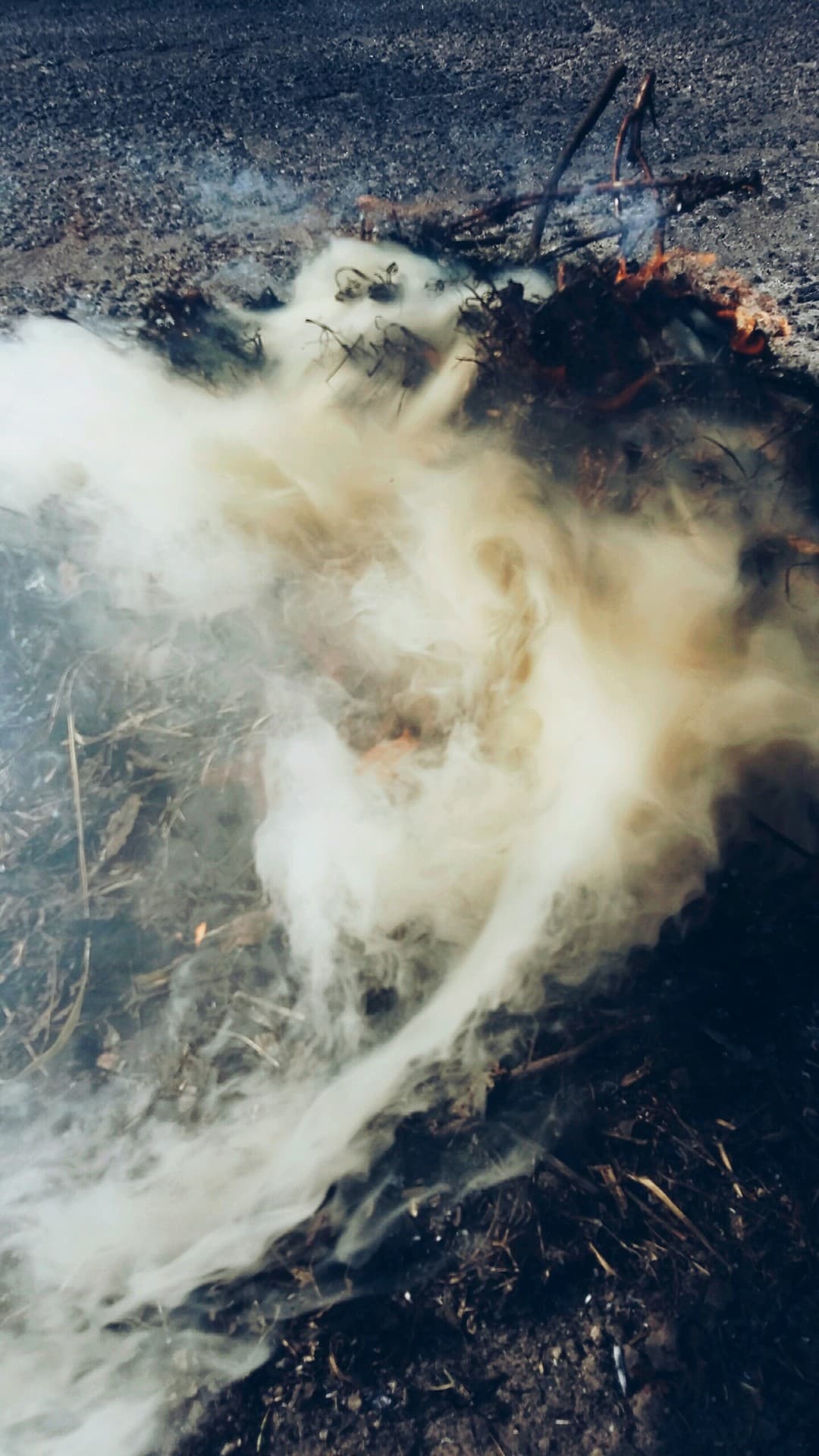 the fire
