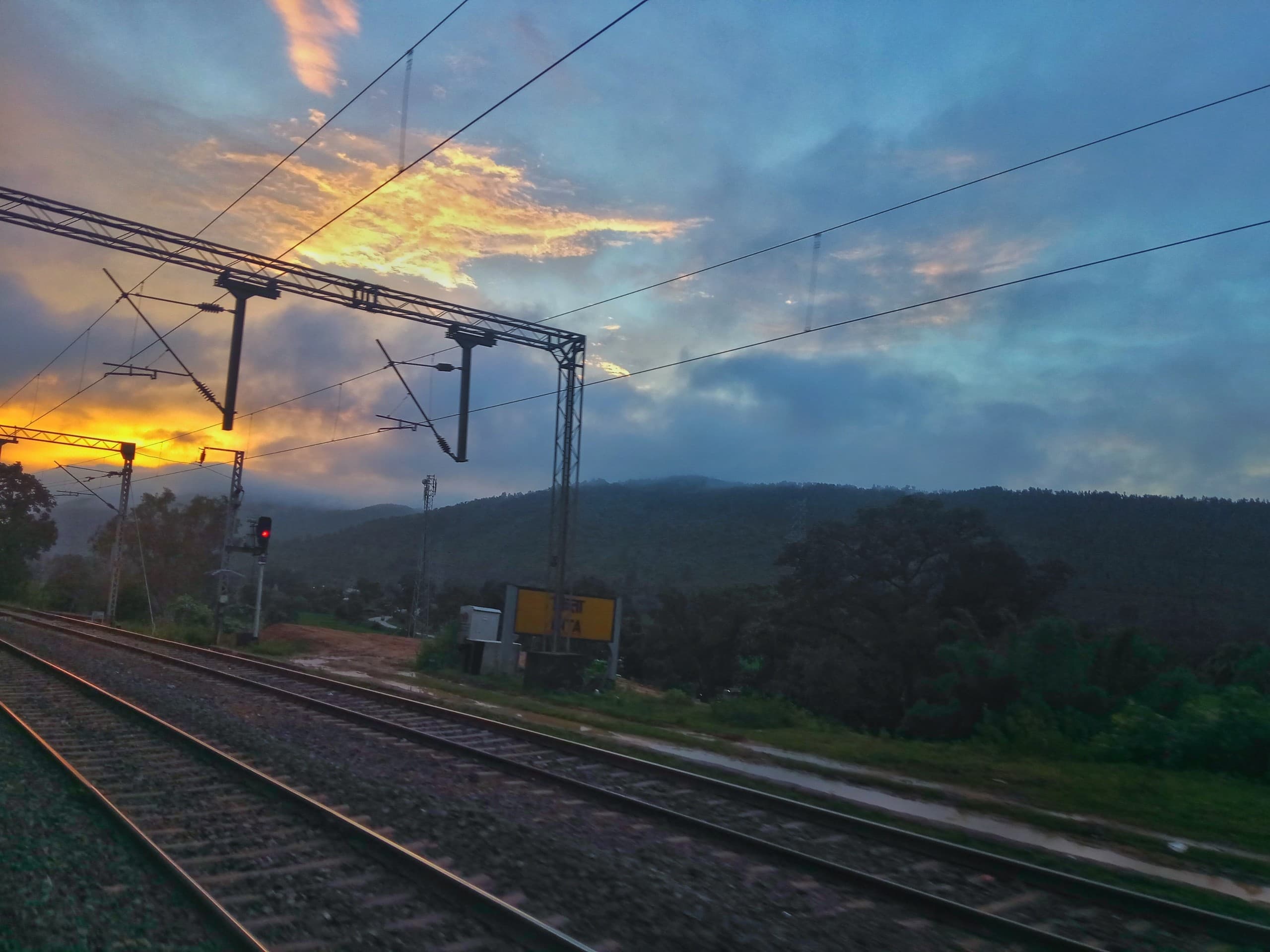 tracks
