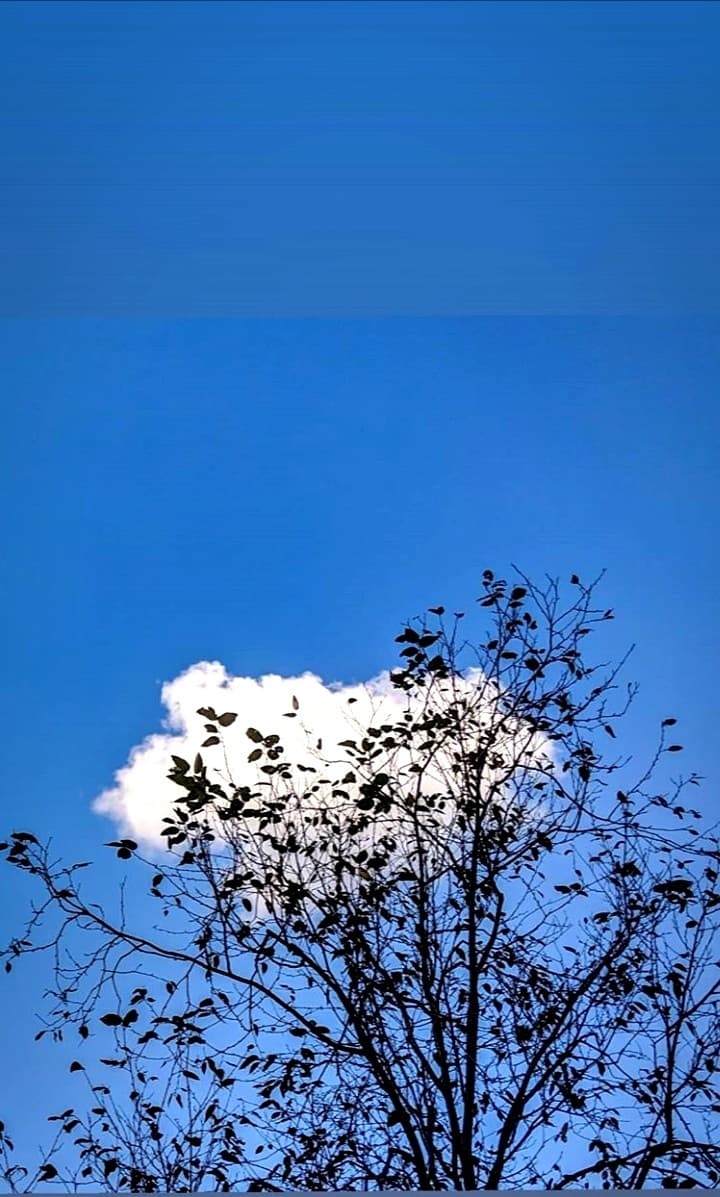 sky