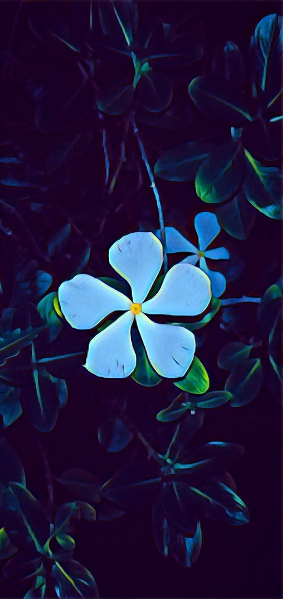 filtered life