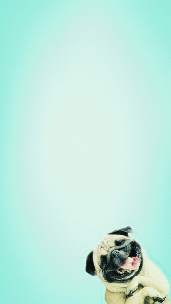 OGQ Backgrounds