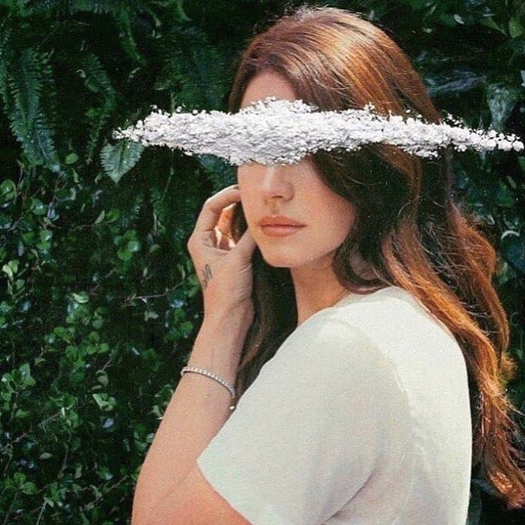 We both know that it's not fashionable to love me.