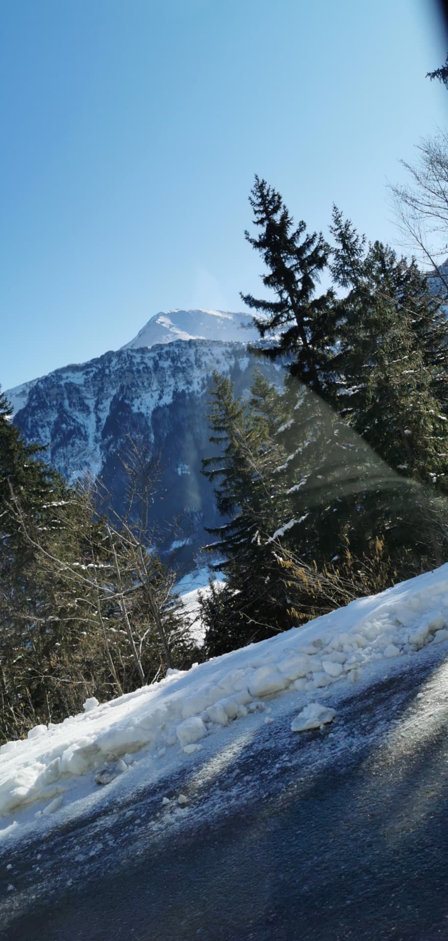 paysage