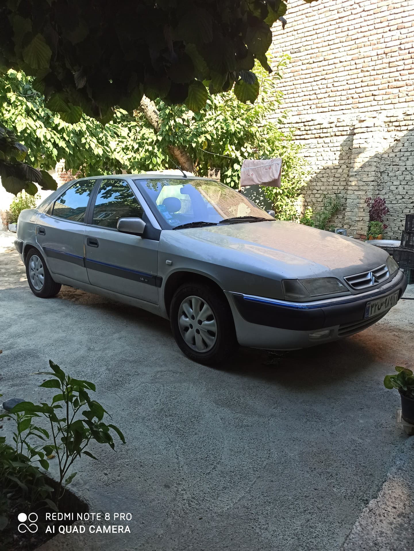 زانتیا