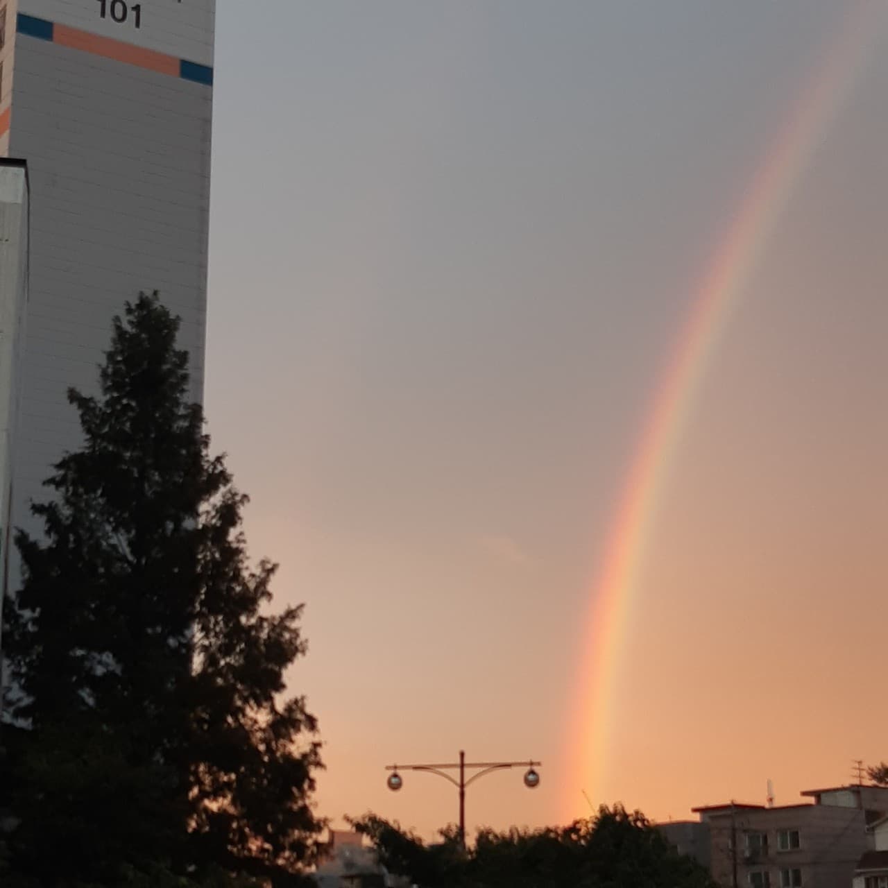 rainbow
