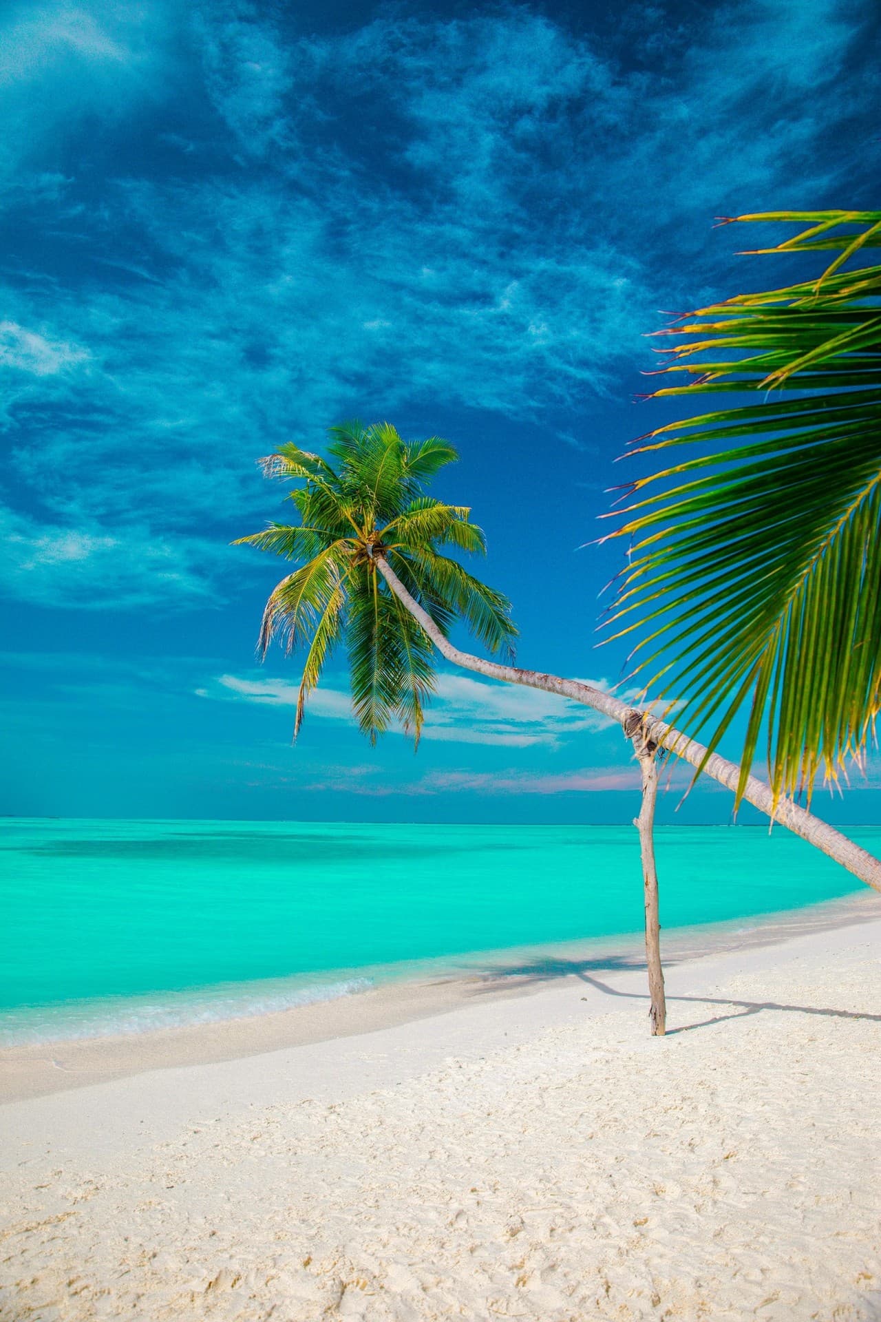 Ocean