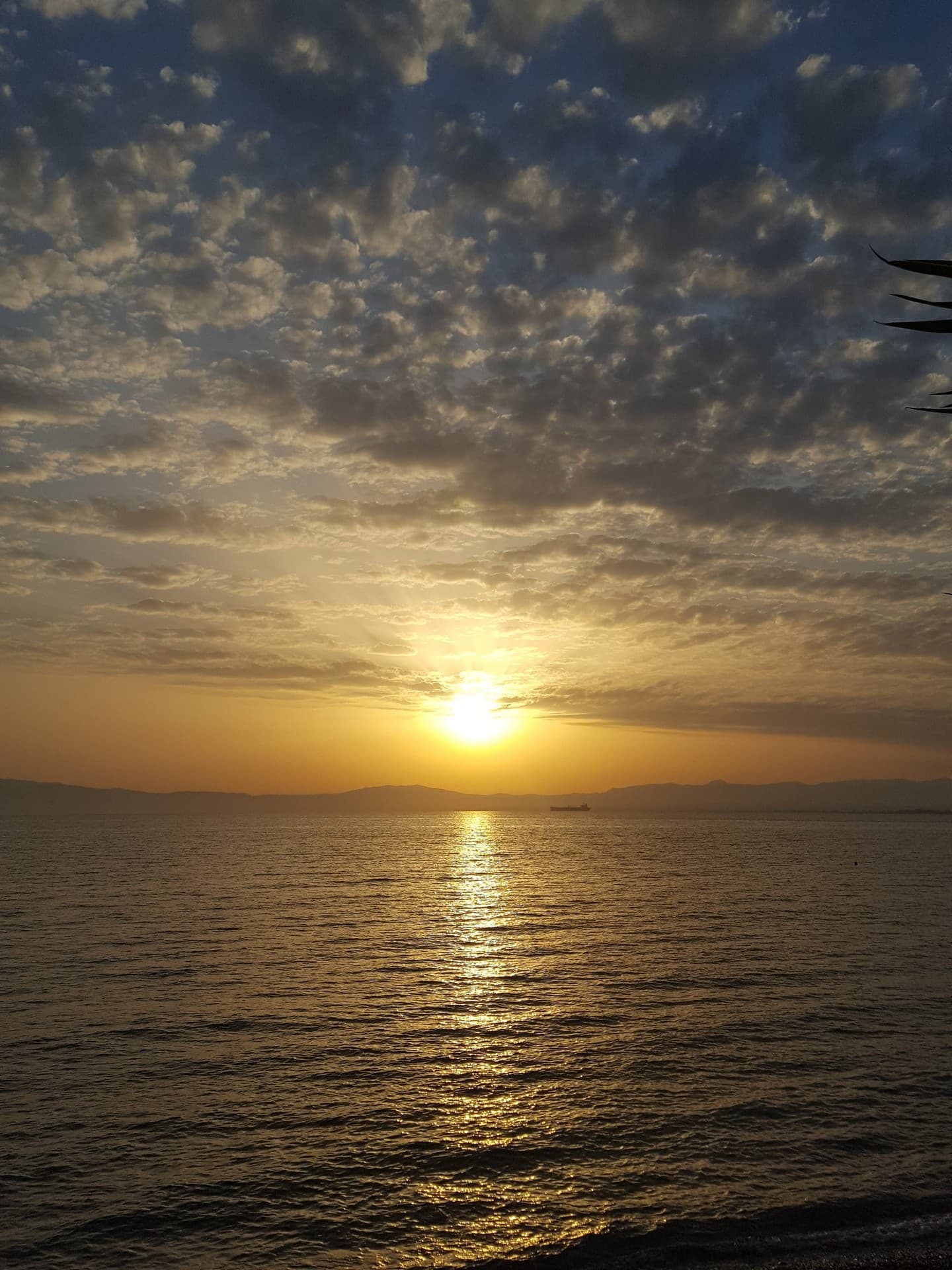 travel, sea, sun, love, summer