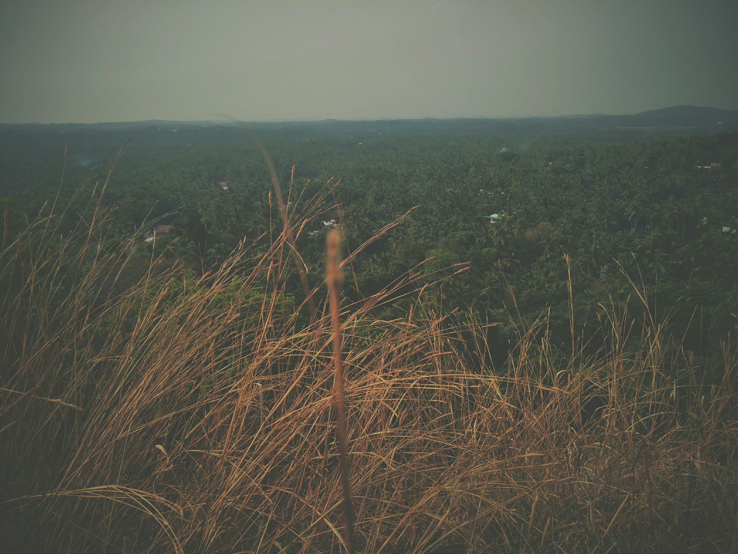 hill top