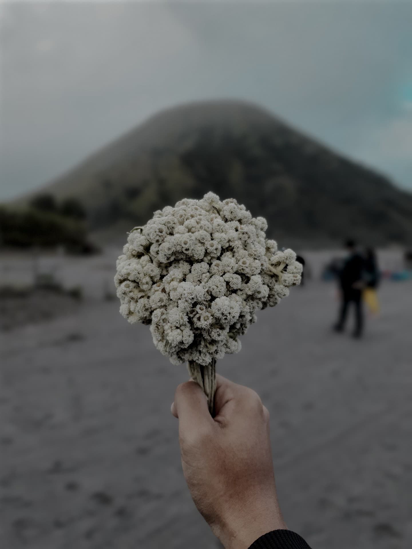 beautiful bokeh