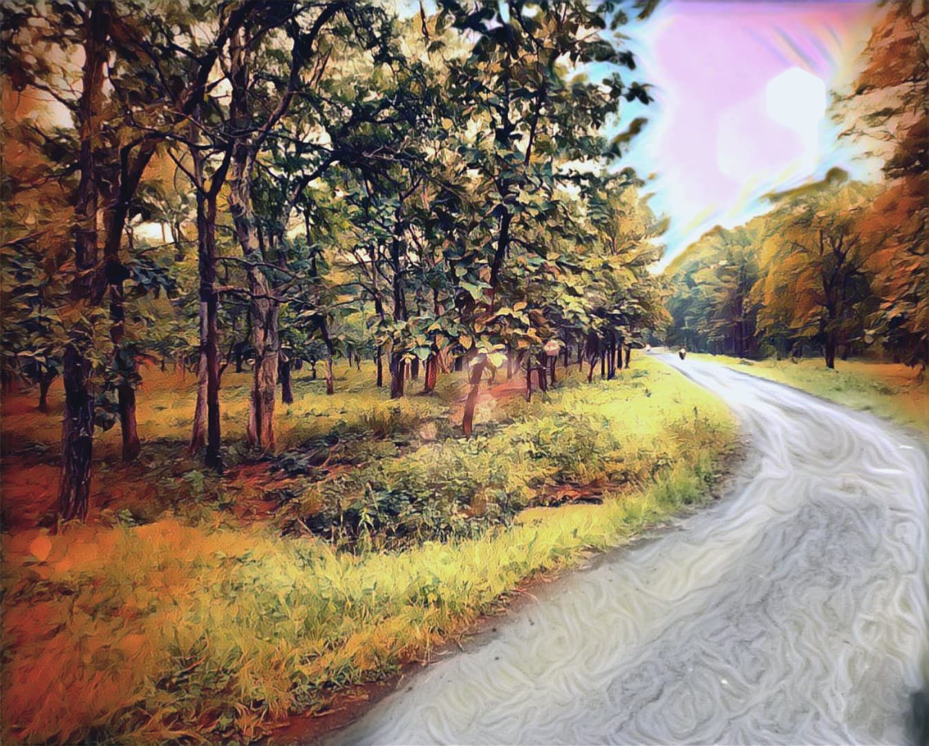 nature