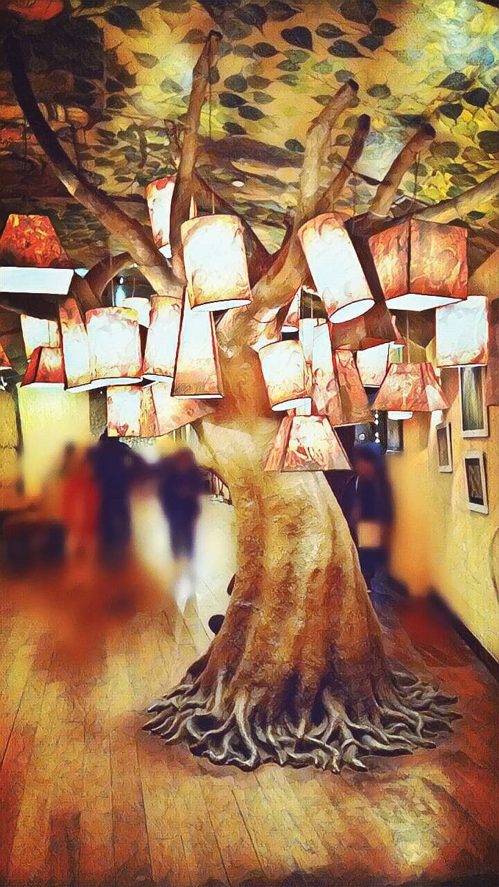 tree_lighting