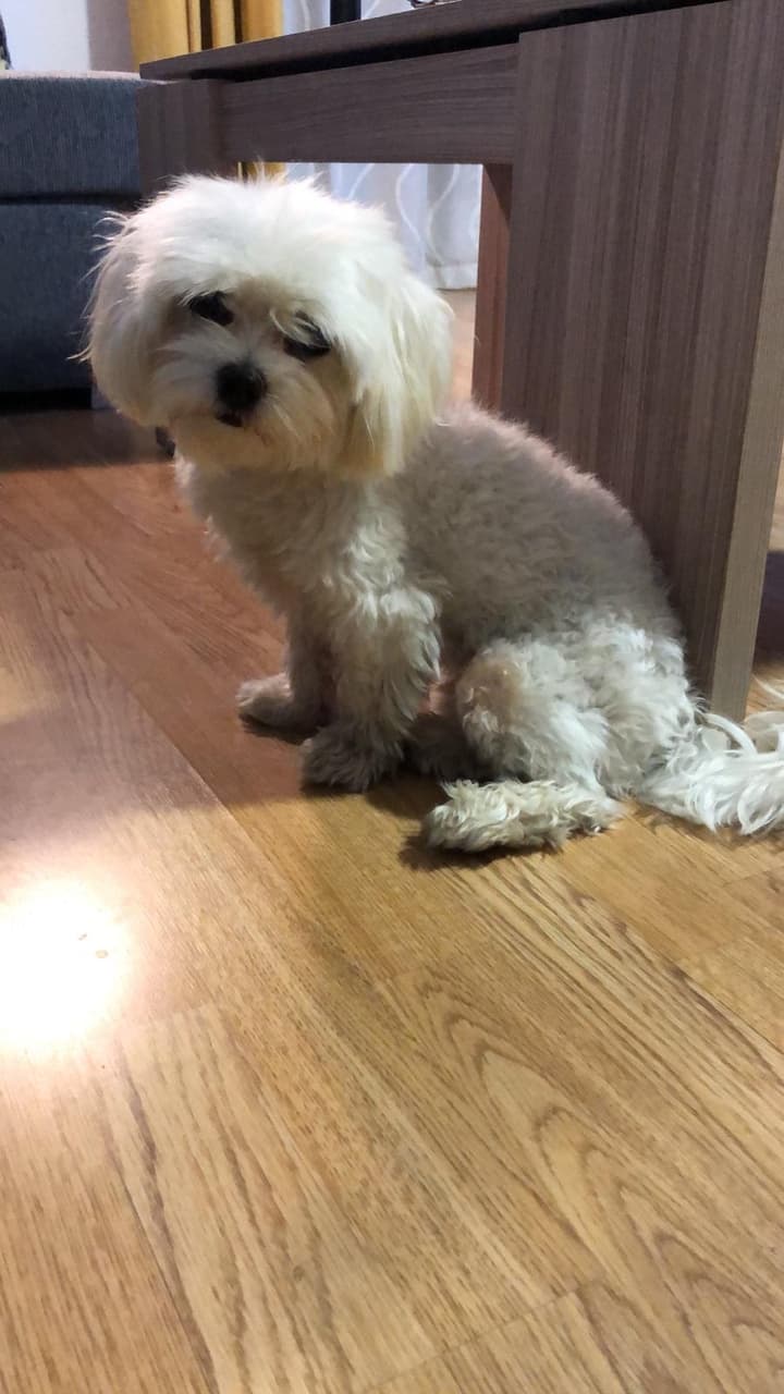 Thor ?