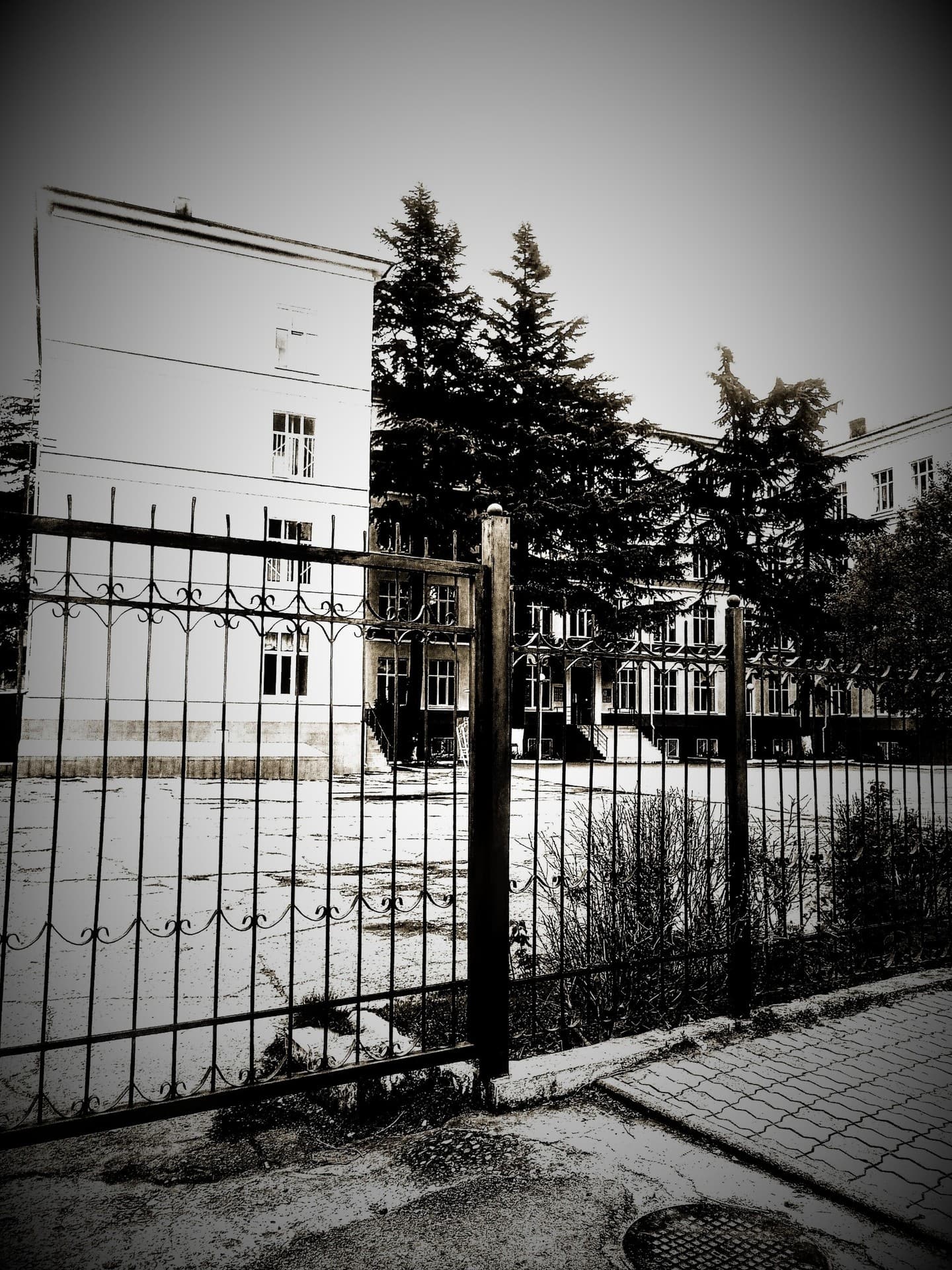 МОЯ  ШКОЛА