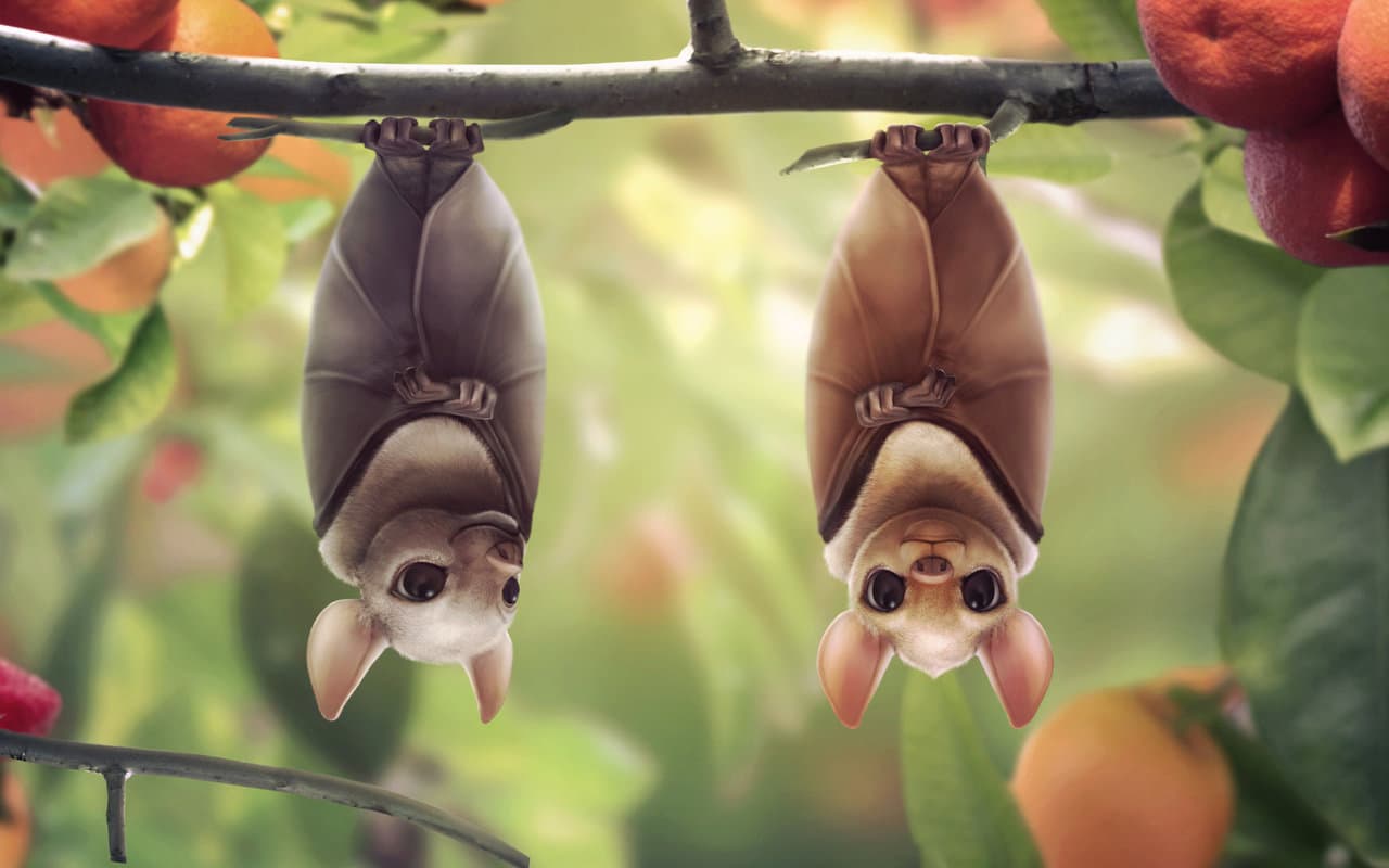 bat