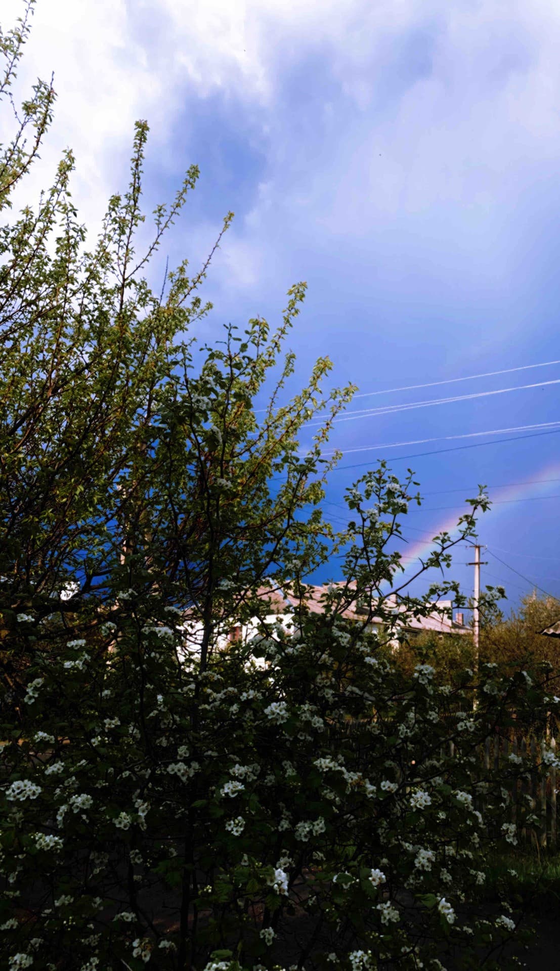 rainbow