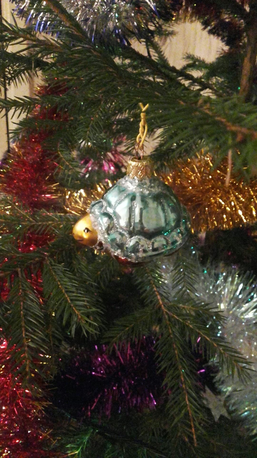 Turtle
