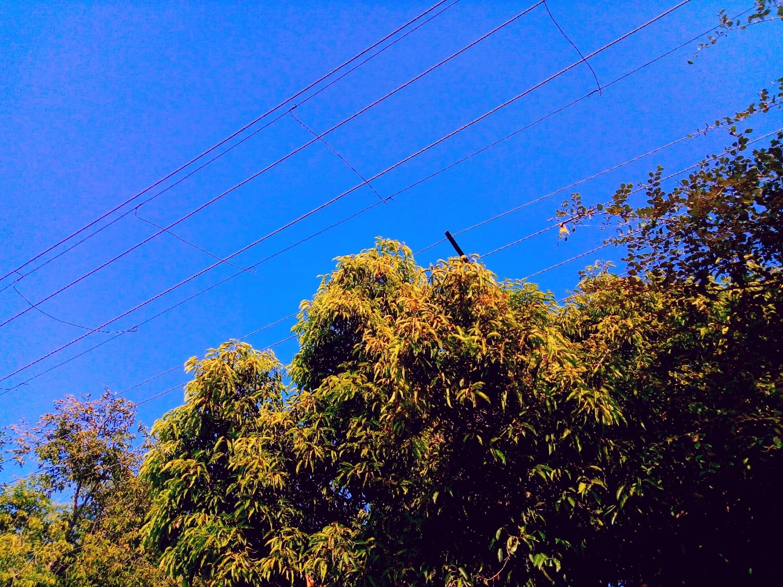 Nature