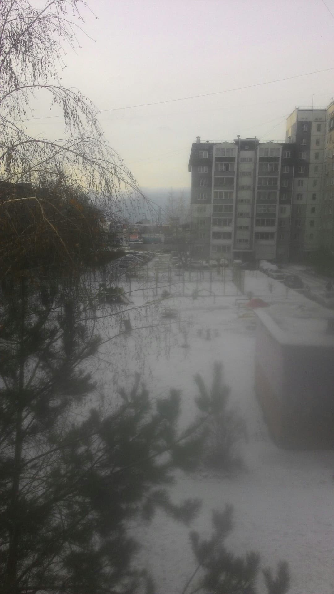 Я вижу из окна вот это
