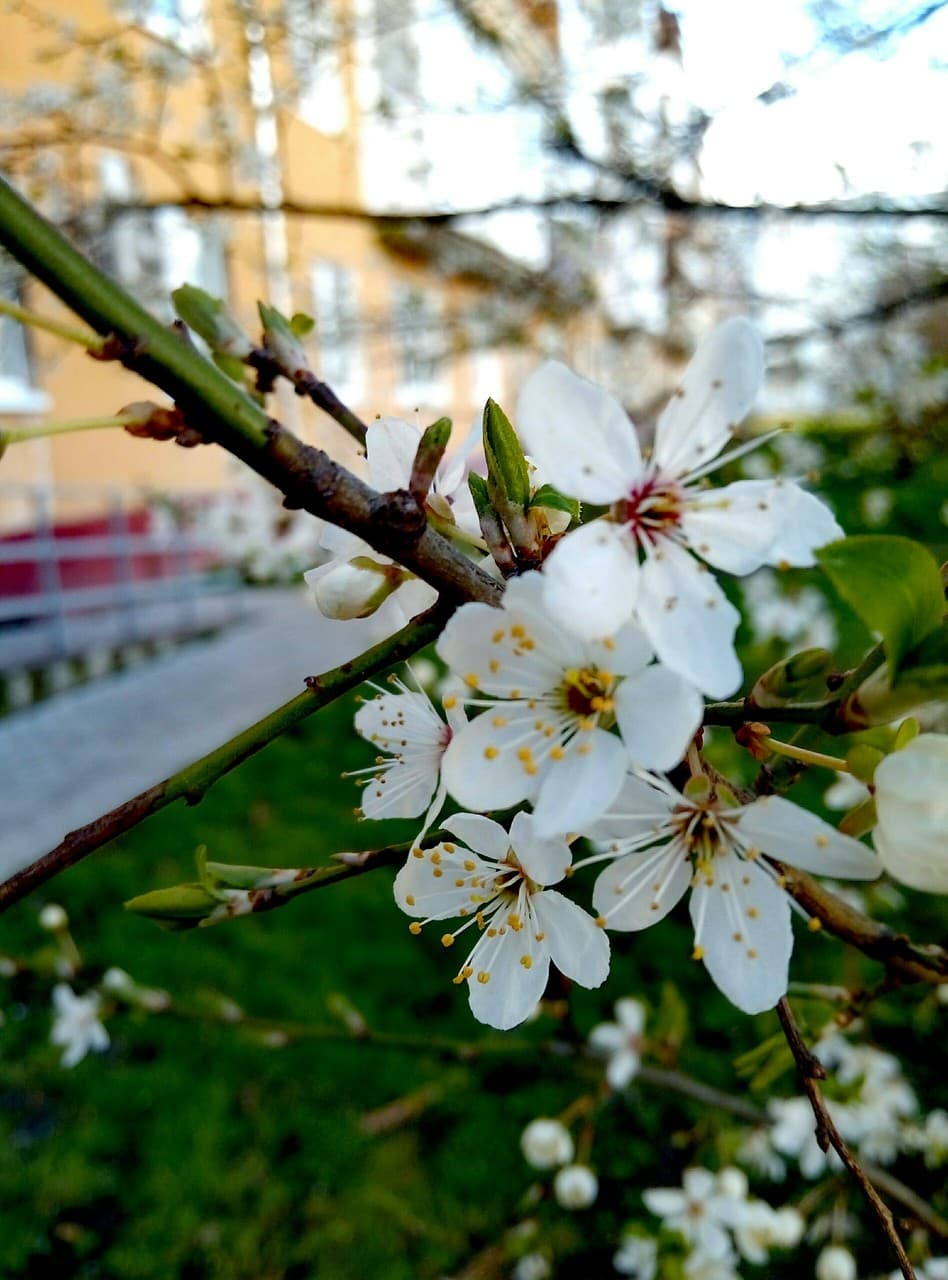 Spring ☀️
