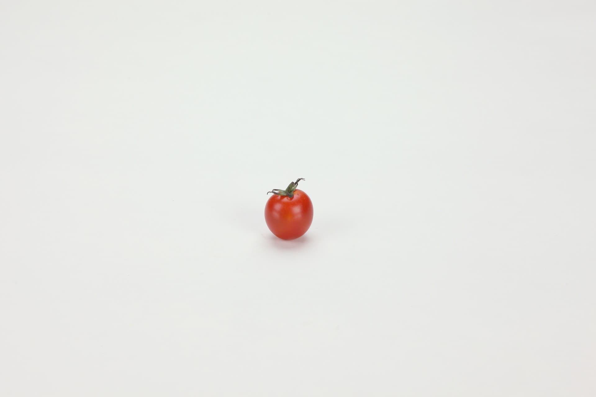 음식이미지