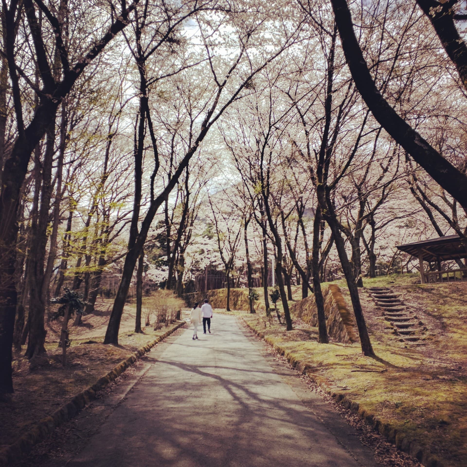 伊香保