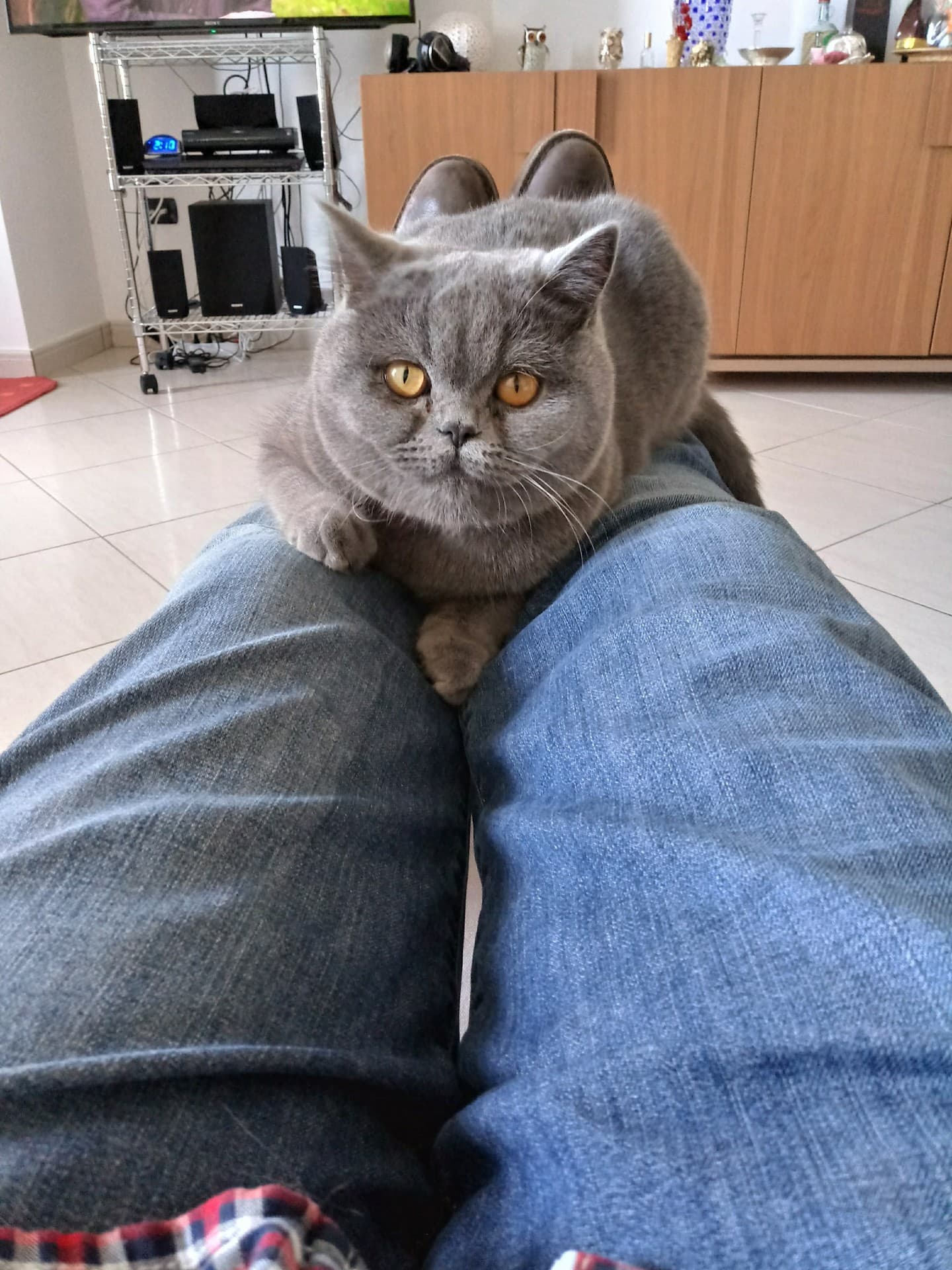 ..