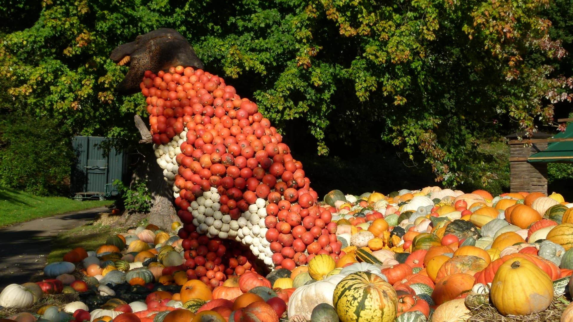 Kürbis Ausstellung Blühendes Barock Schloss Ludwigsburg 2011
