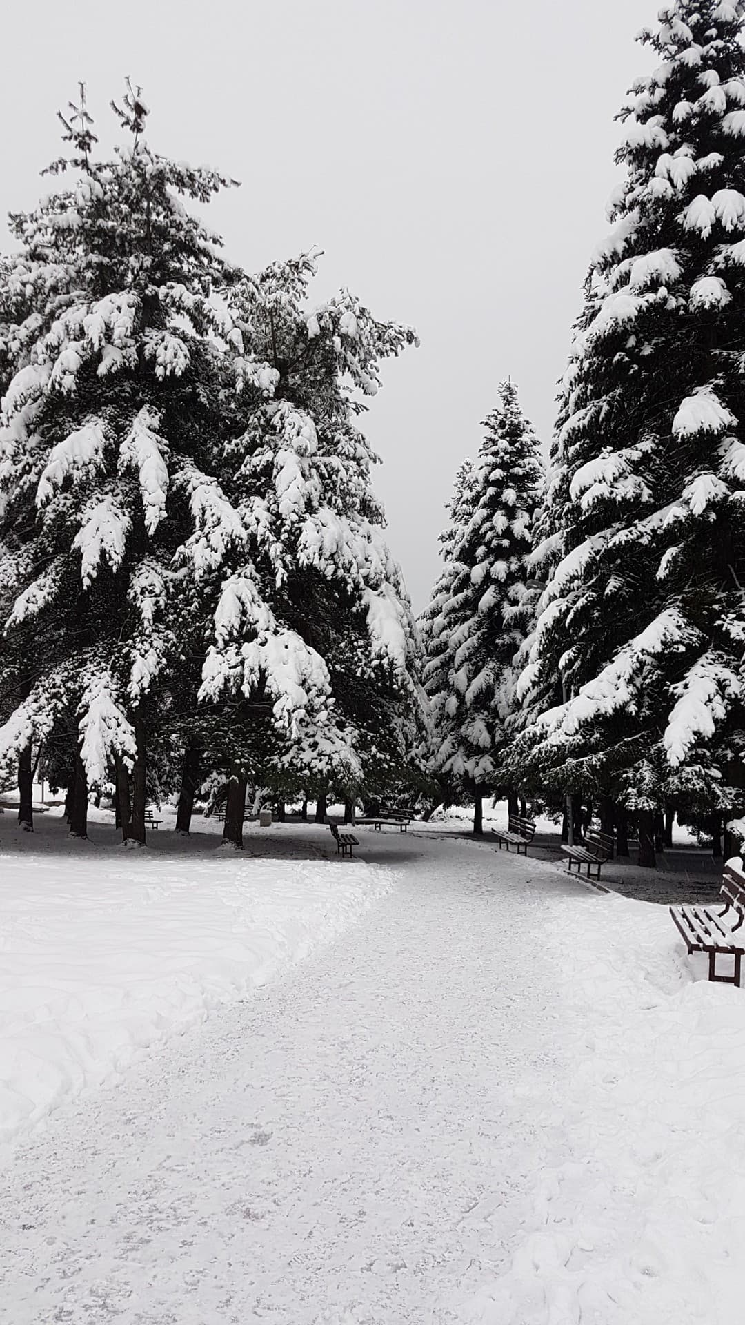 winter