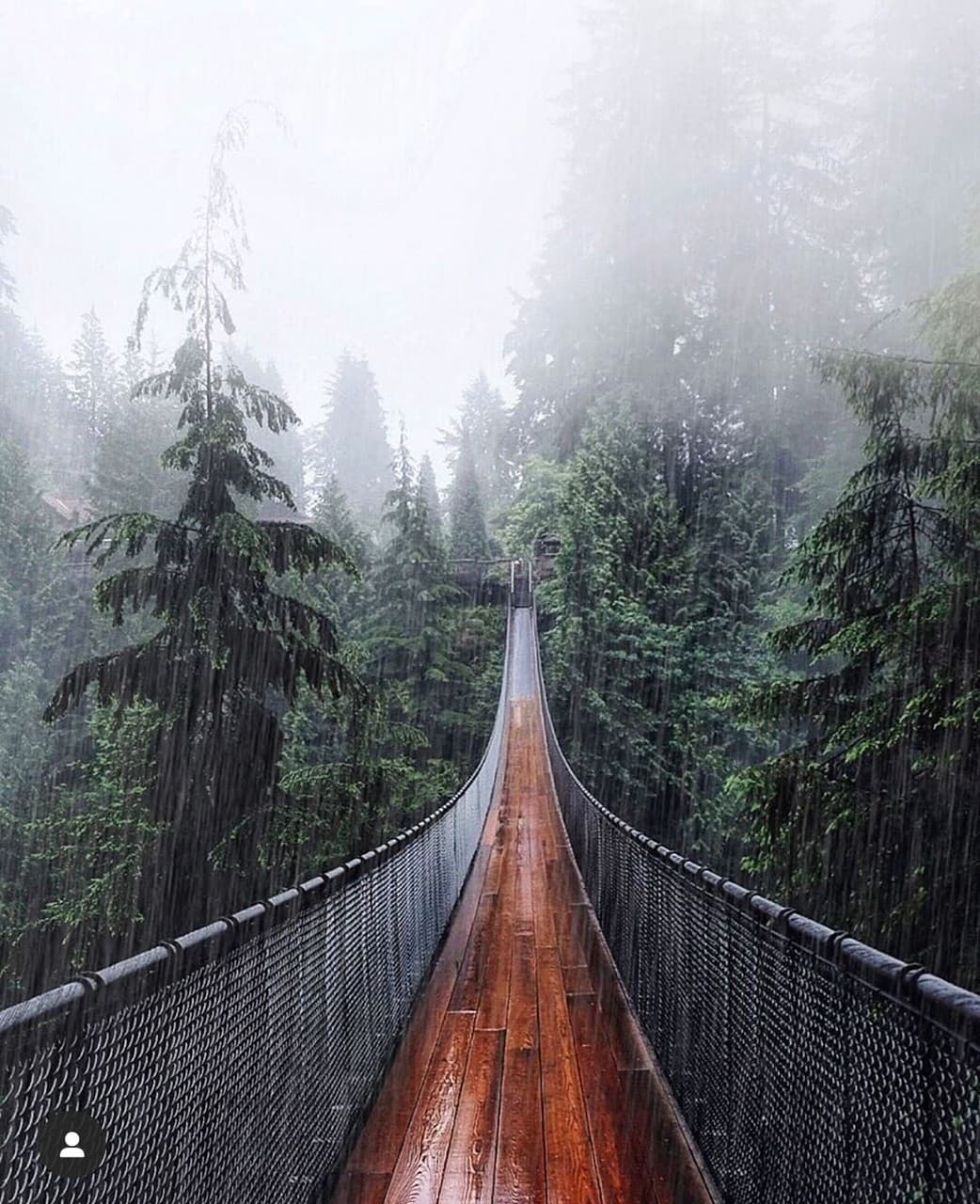 The wood bridge