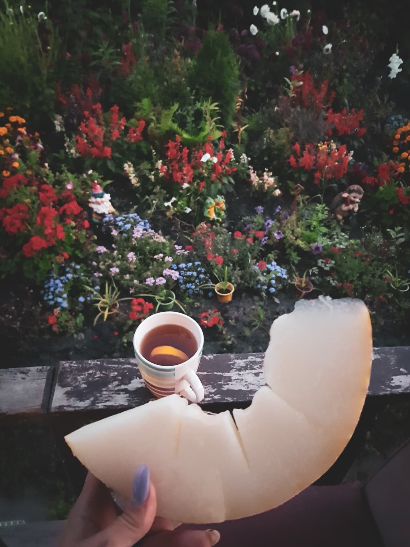дыня/чай