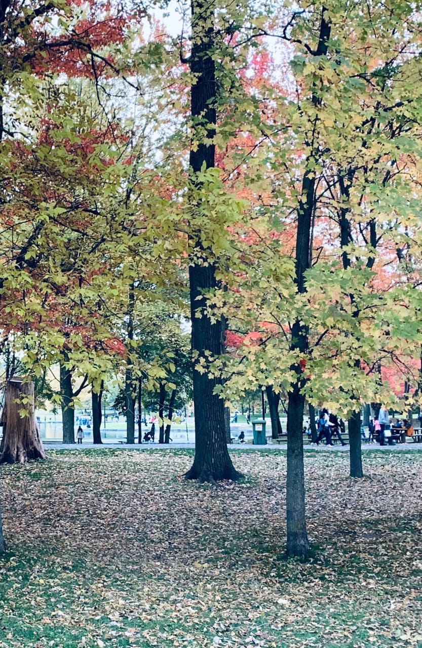 Toronto