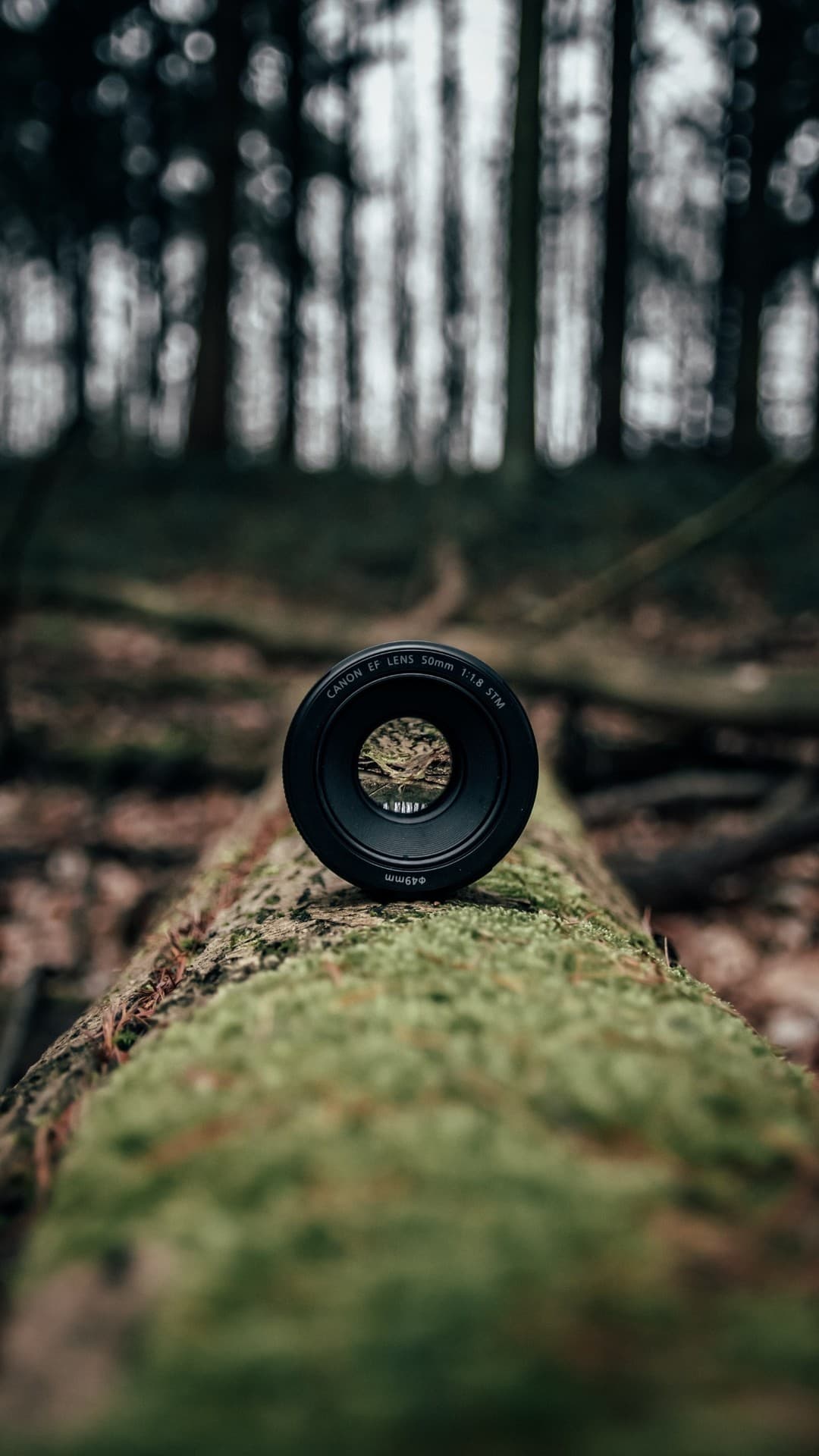 camera