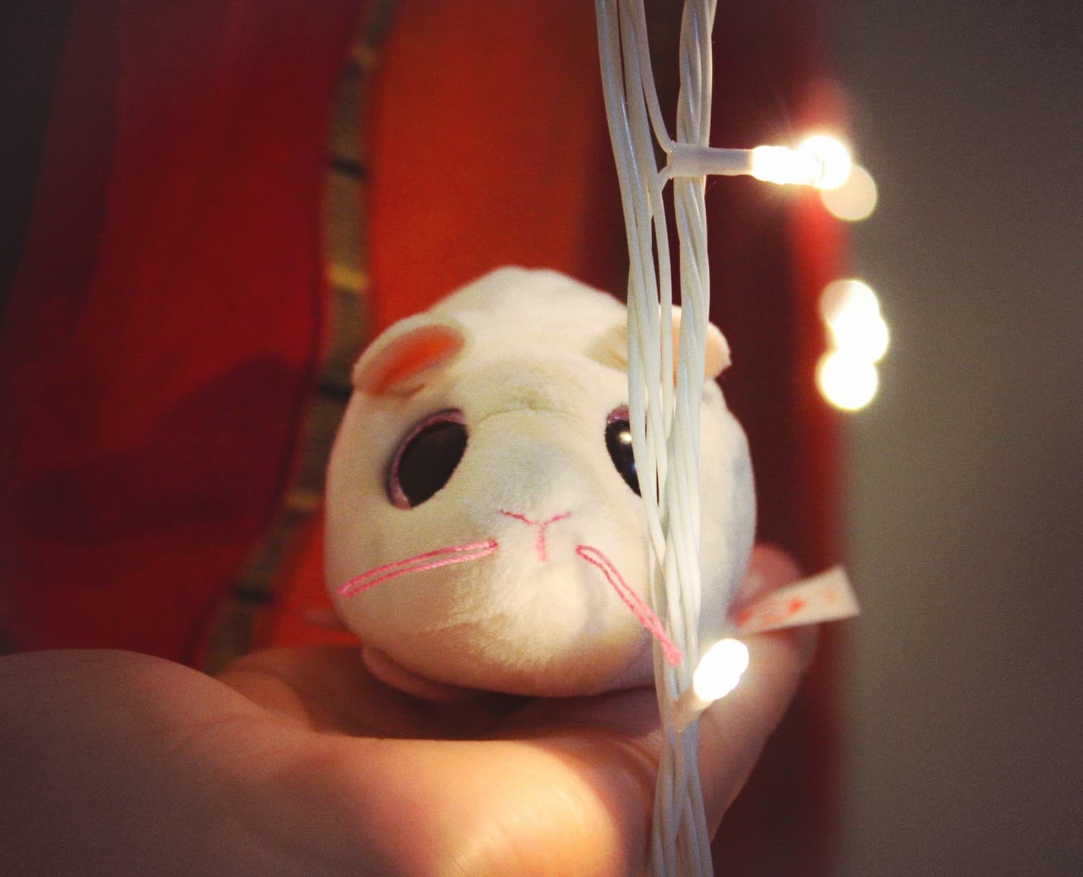 Cute Rat