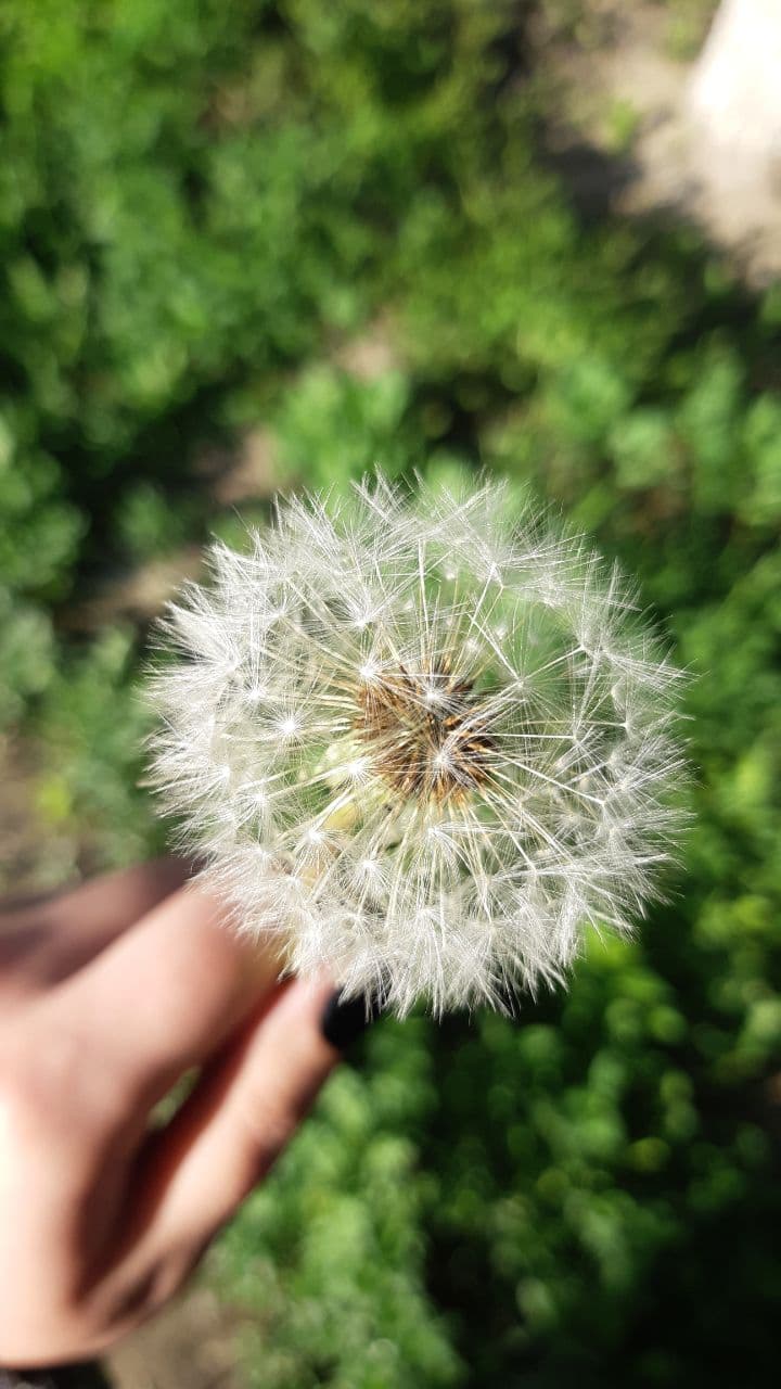 blow me?