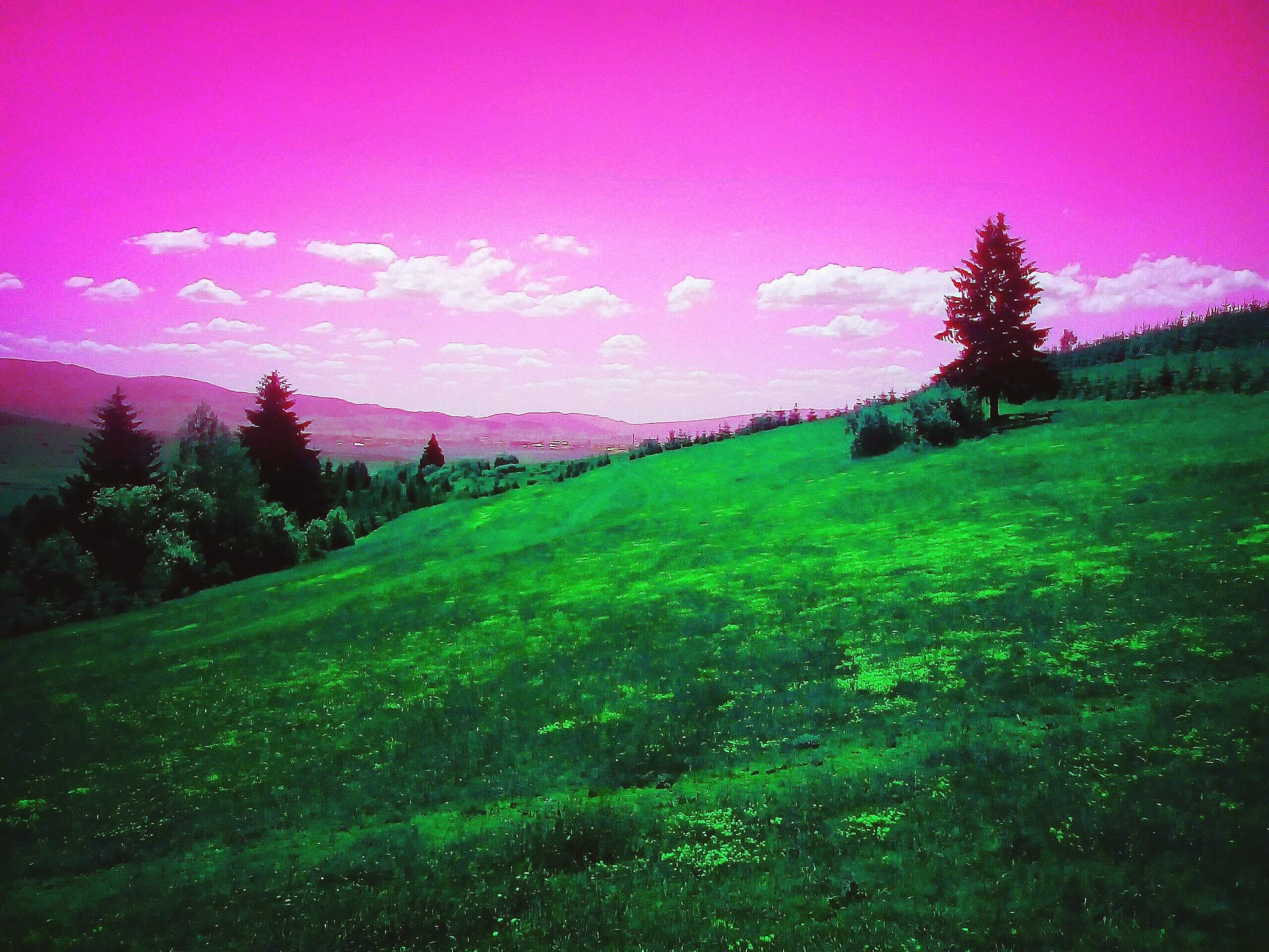dream