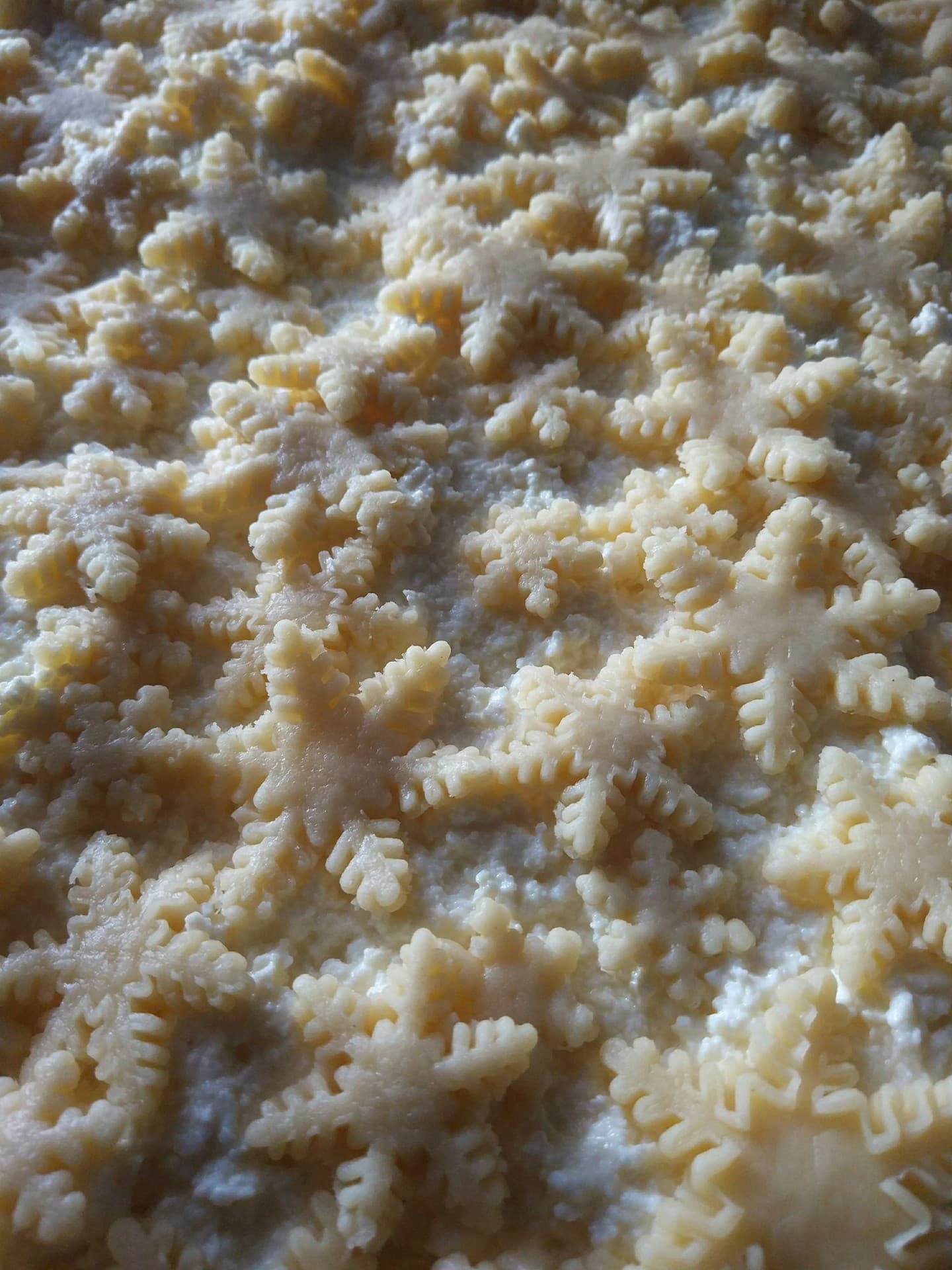 cheese pie with snowflakes