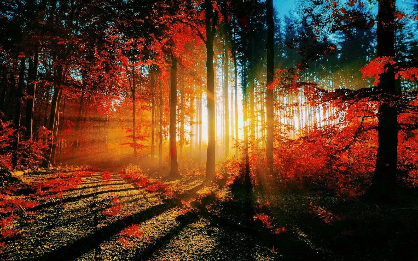 natura