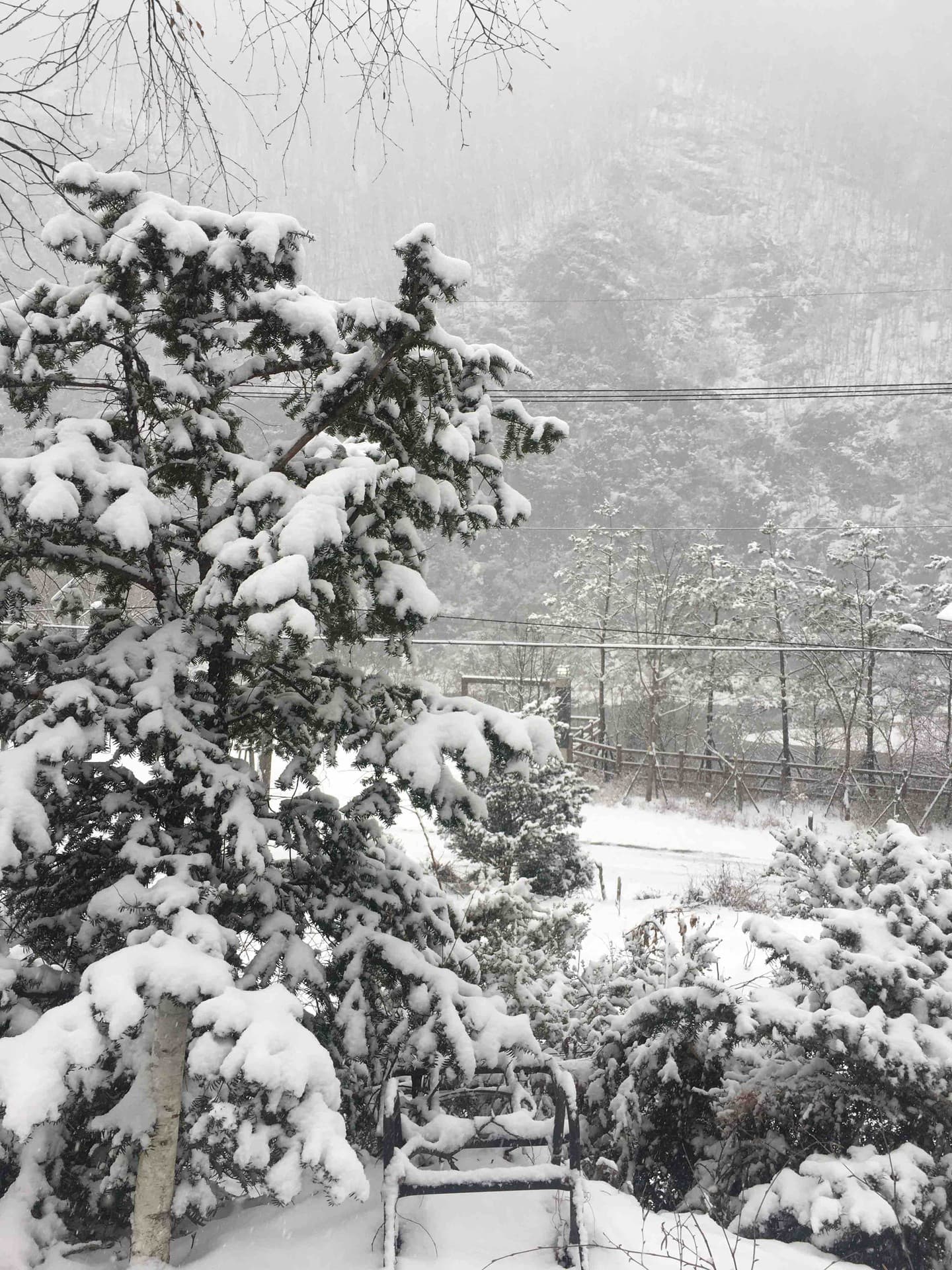 winter