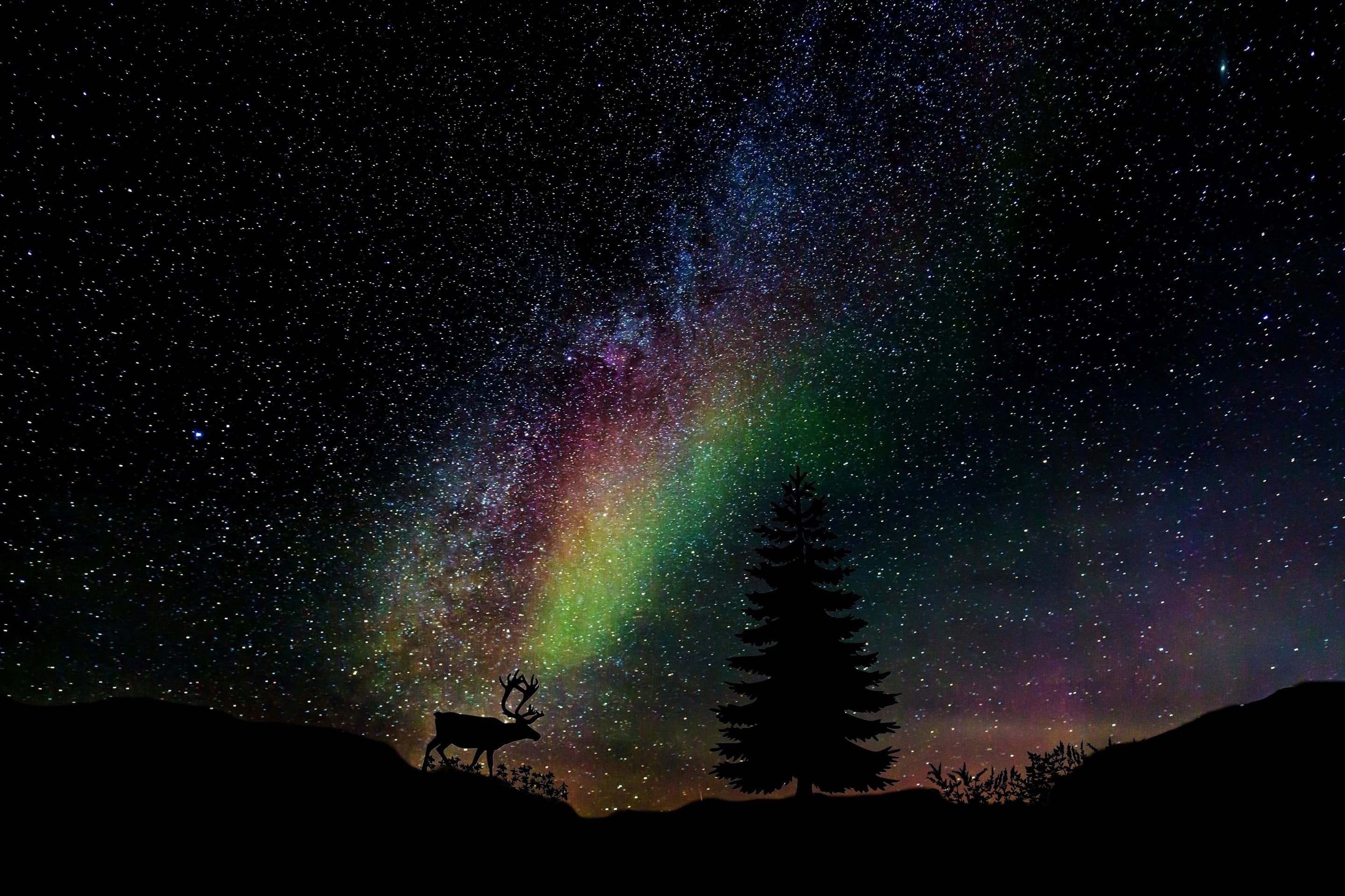 Stars