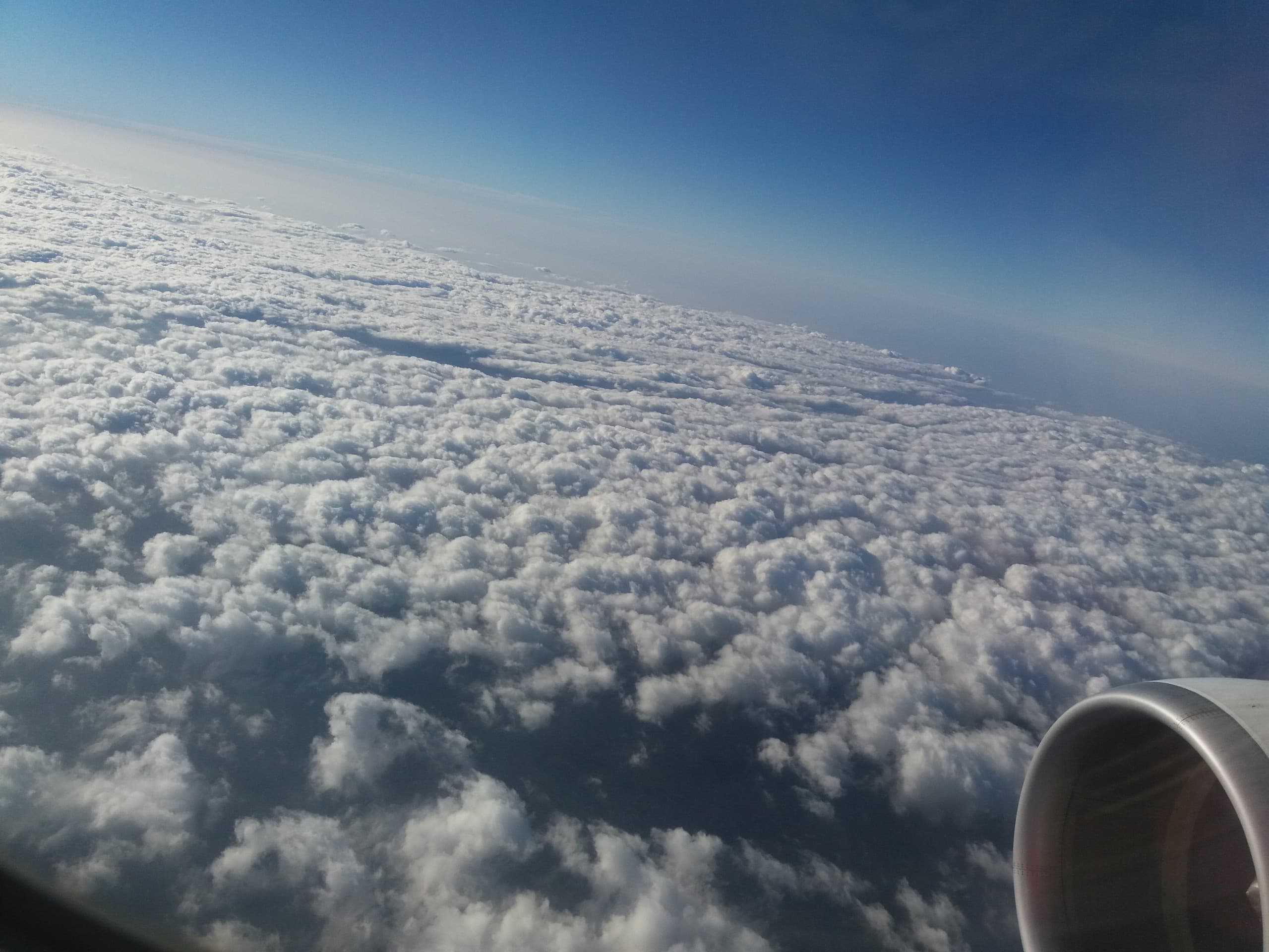 Nature Cotton Balls :-) clicked from Air India
