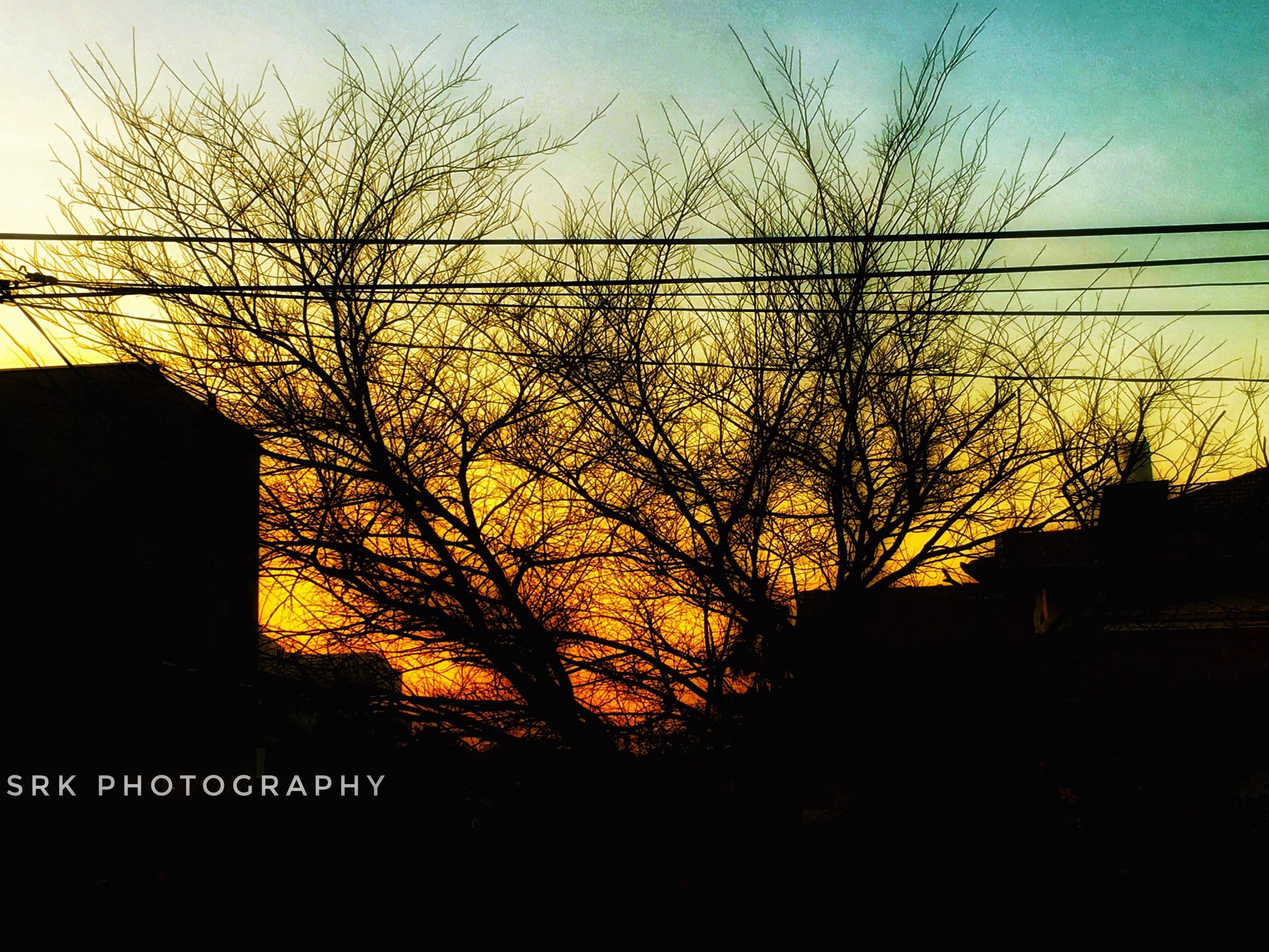 evng sky