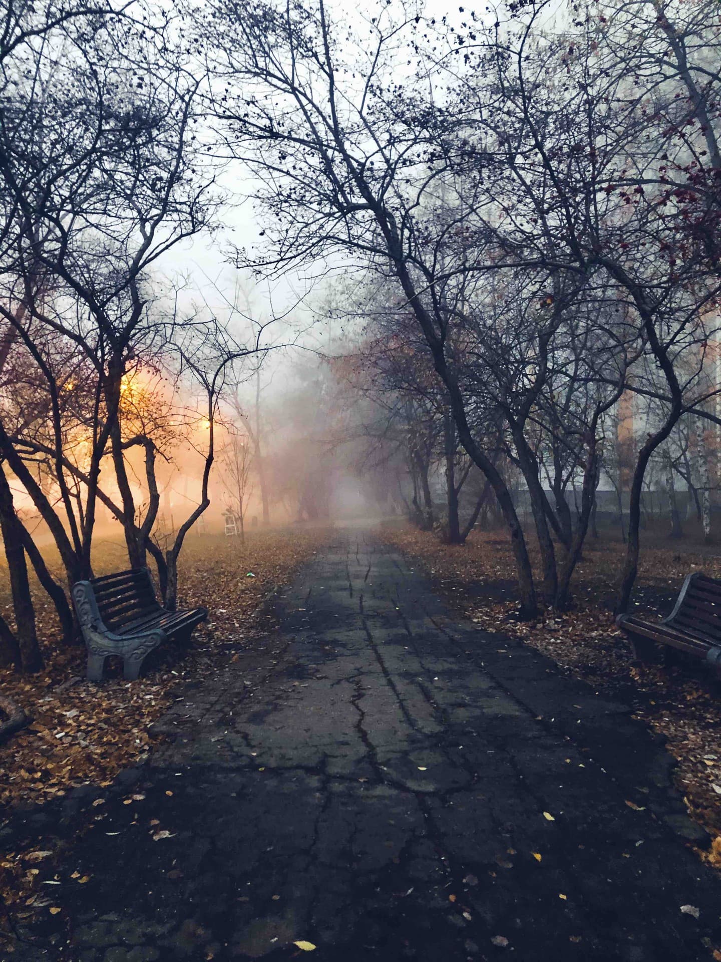 November atmosphere