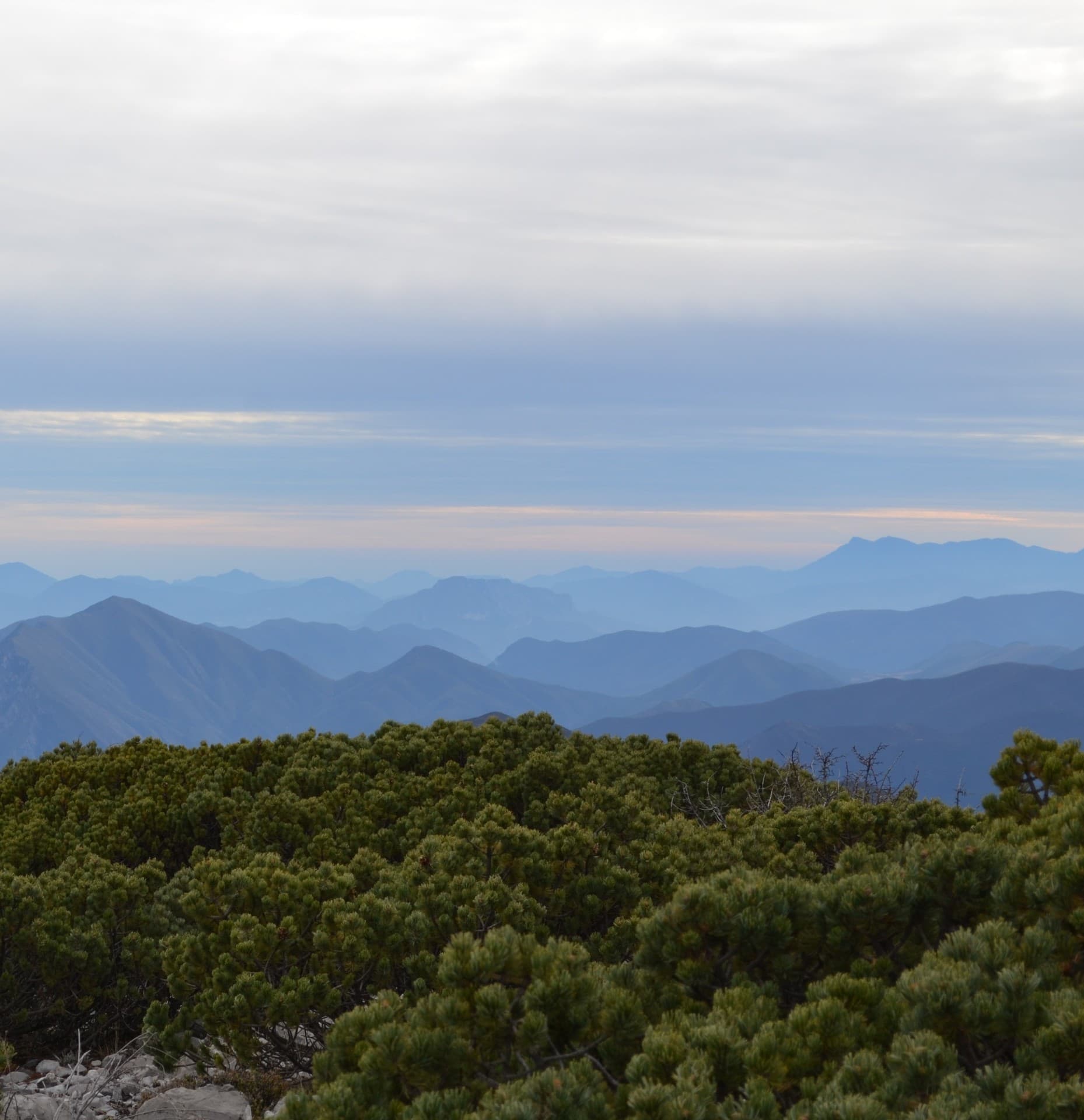 Sierra Madre